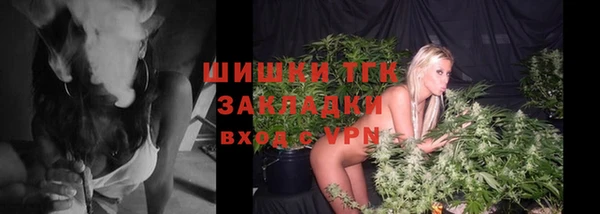 гидра Аркадак
