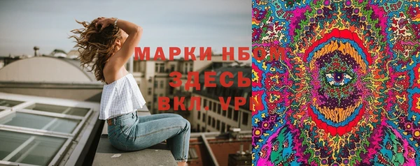 гидра Аркадак