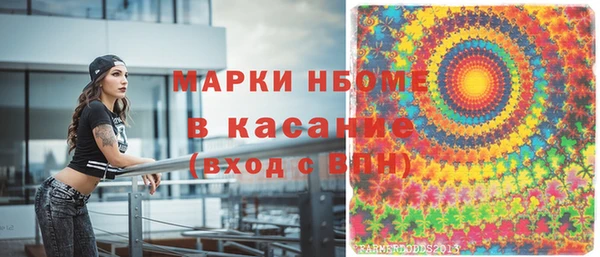 гидра Аркадак