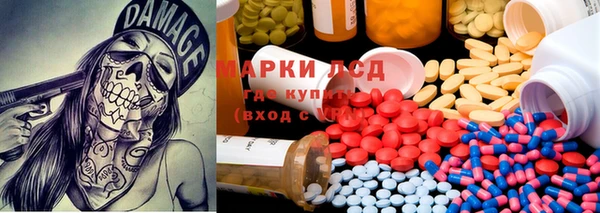 гидра Аркадак